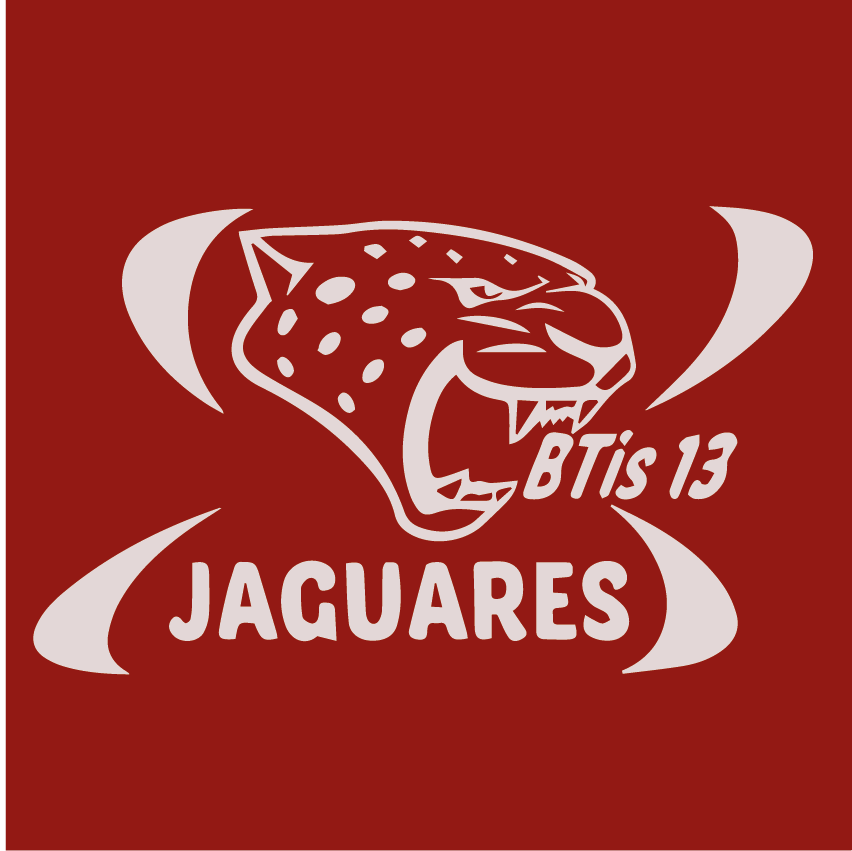DISEÑO JAGUARES CLÁSICO